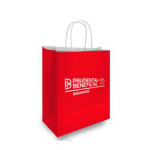 Customized Shopping Bag's